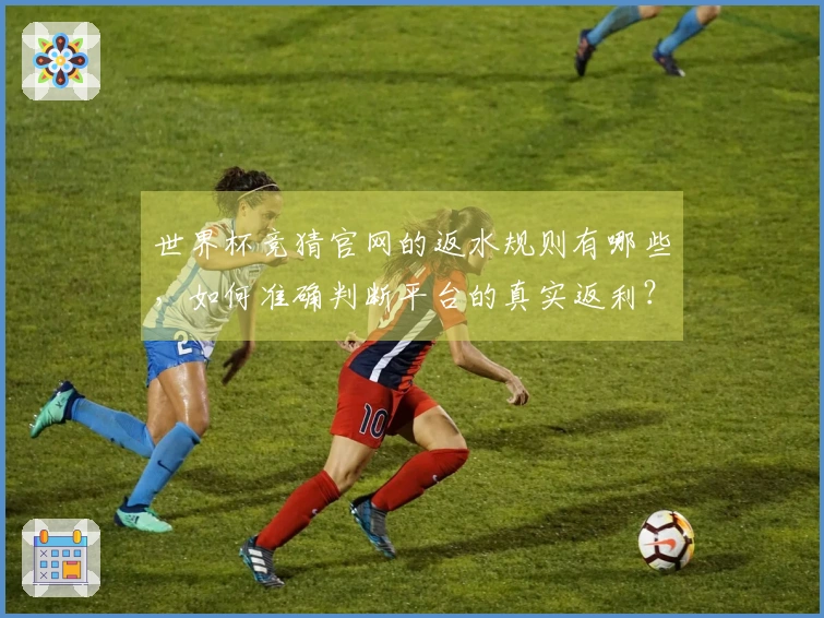 世界杯竞猜官网的返水规则有哪些，如何准确判断平台的真实返利？