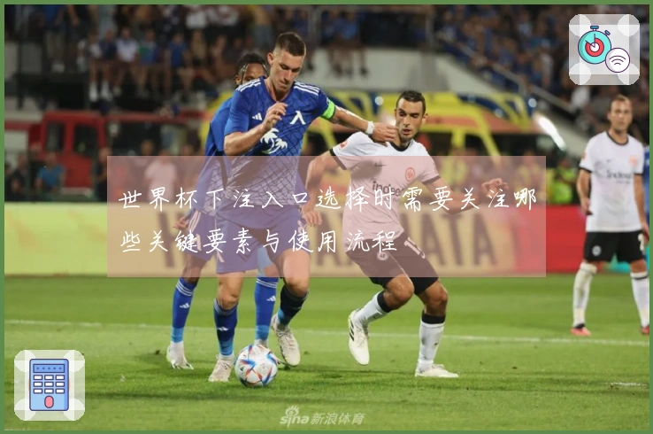 世界杯下注入口选择时需要关注哪些关键要素与使用流程