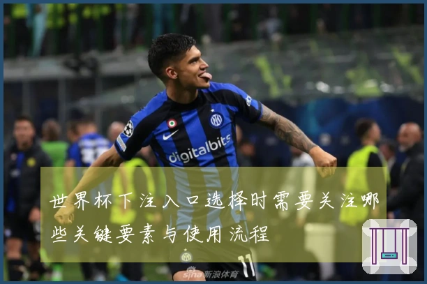 世界杯下注入口选择时需要关注哪些关键要素与使用流程